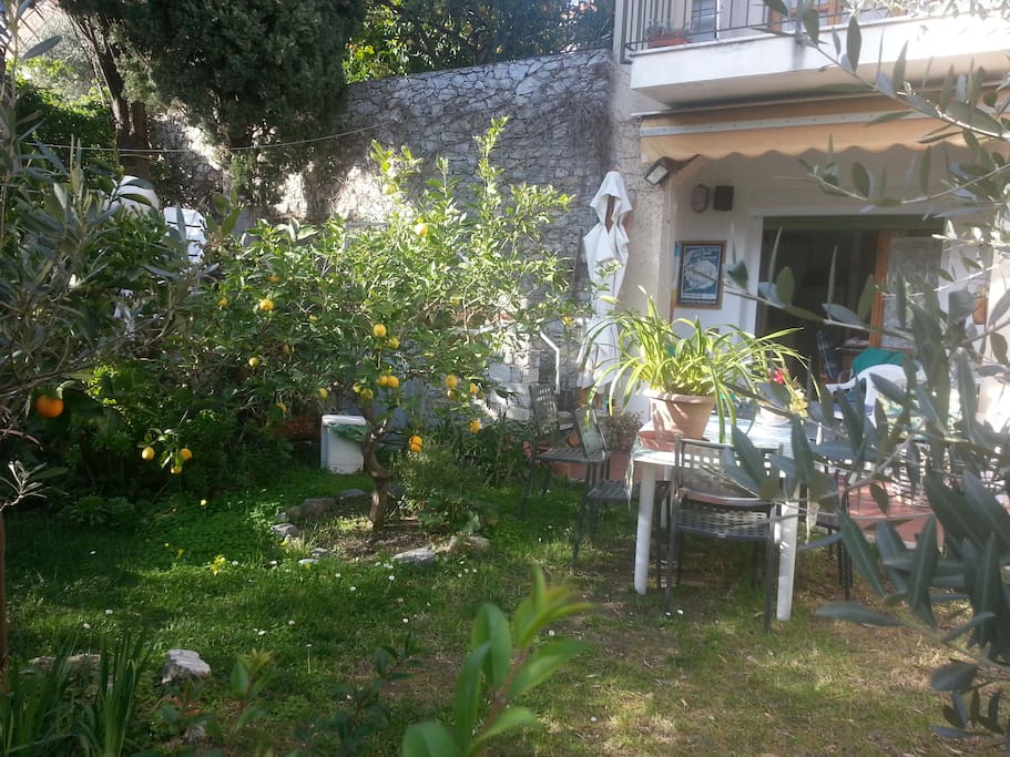 Il giardino e il portico dalla cucina