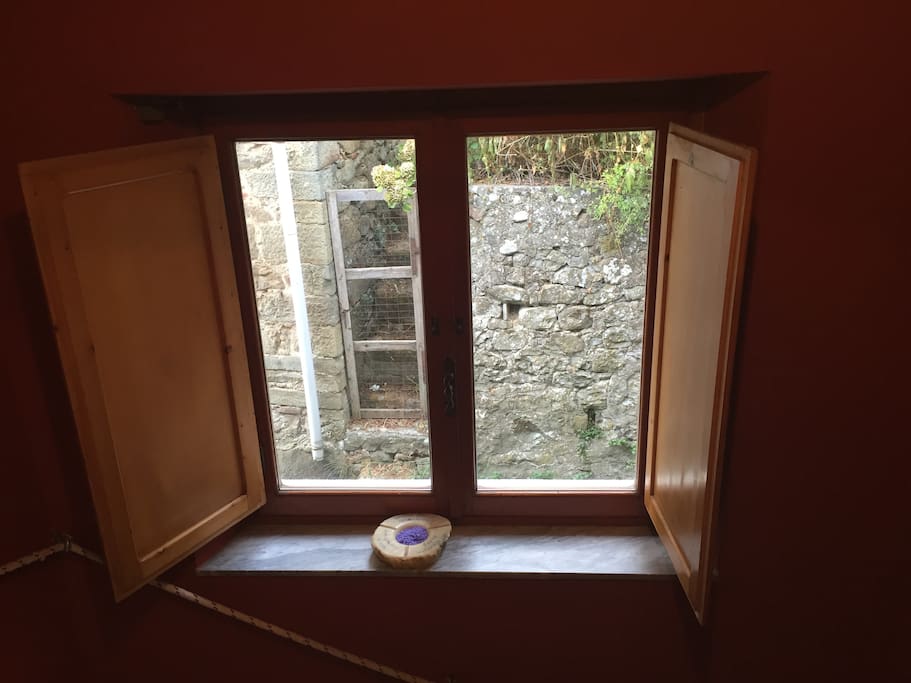 View from the hall