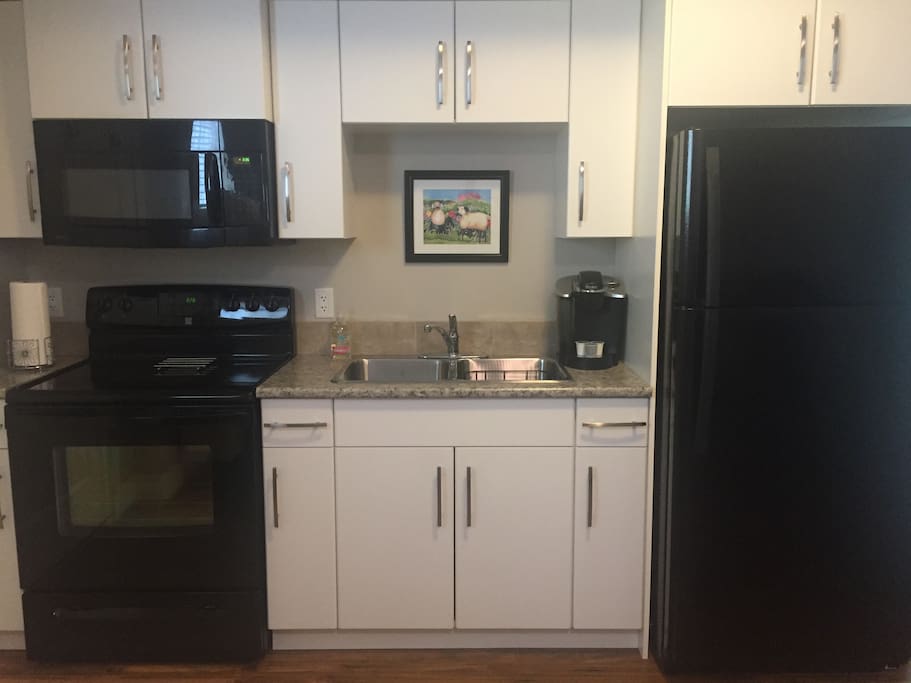 Full kitchen with electric range, microwave, and fridge