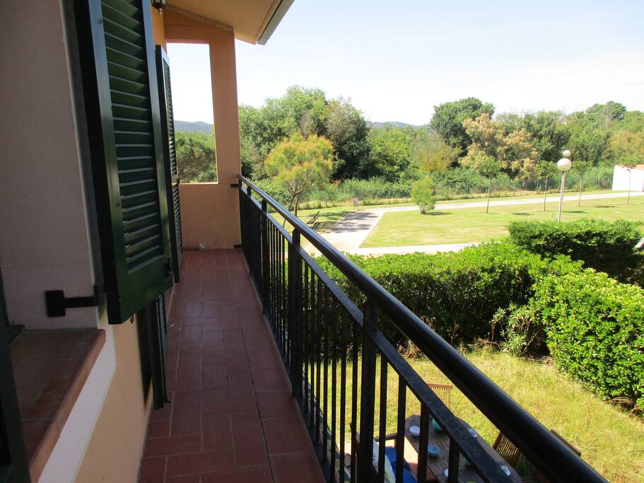 Terraza