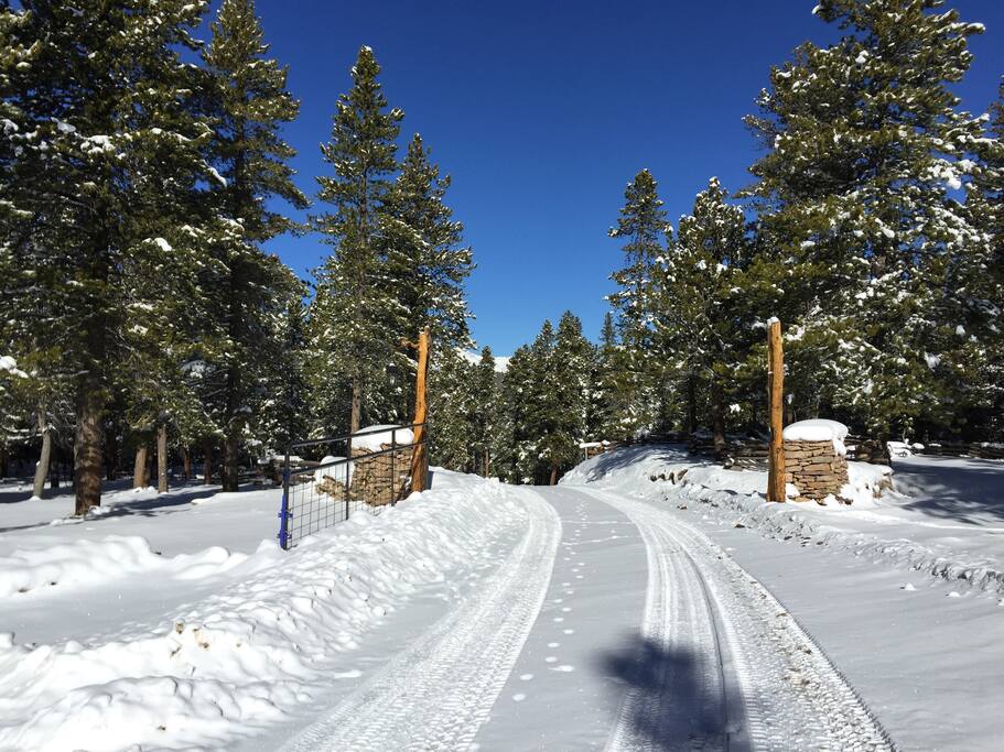 Romantic Getaway Mountain Wilderness Cabin Cabins for Rent in Black
