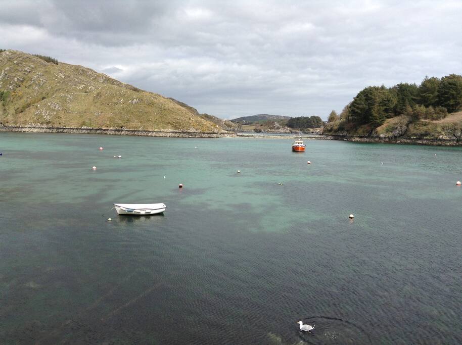 Lough Hyne.