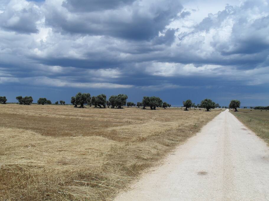strade intorno masseria
