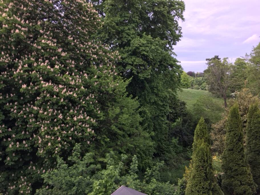 Rent A Room In Henley Rent A Room In Henley