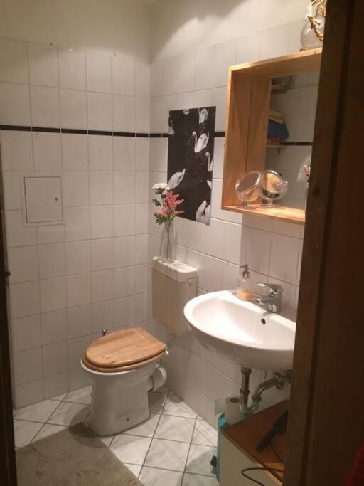 The Bathroom (shared)