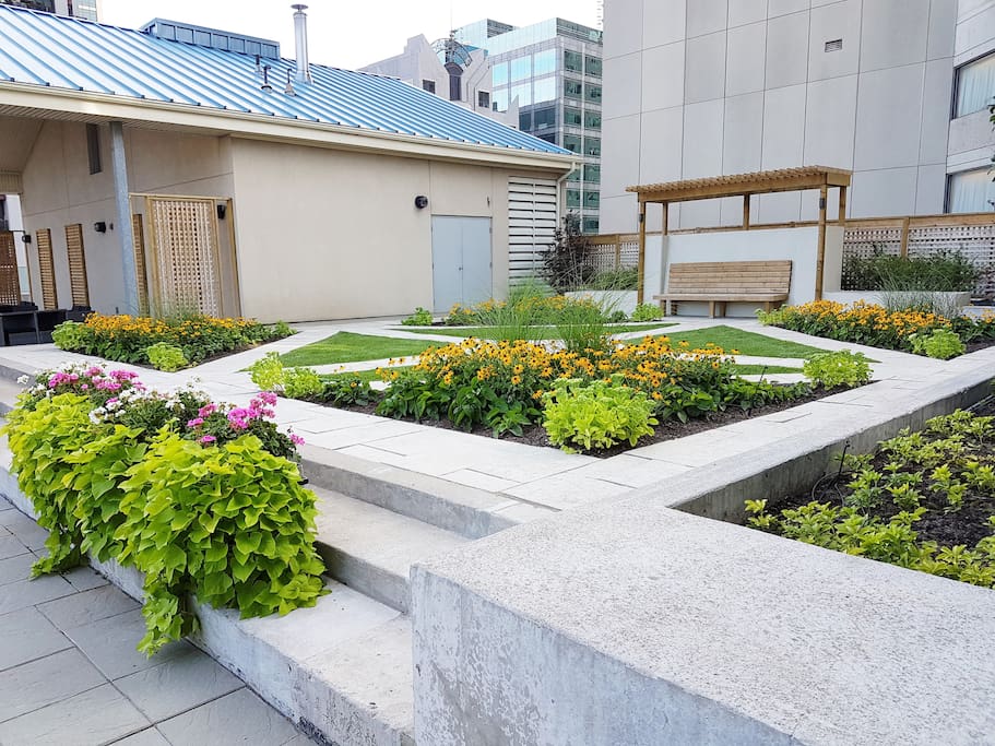 Rooftop Garden