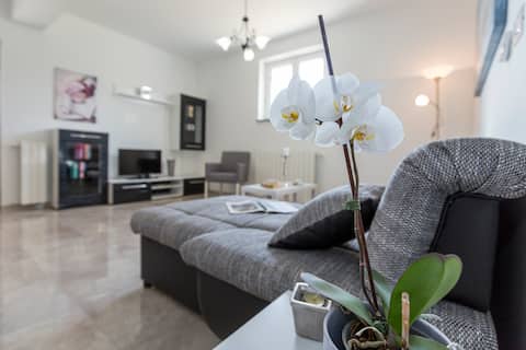 Top performing Airbnb: At Wice in Općina Sveta Nedelja