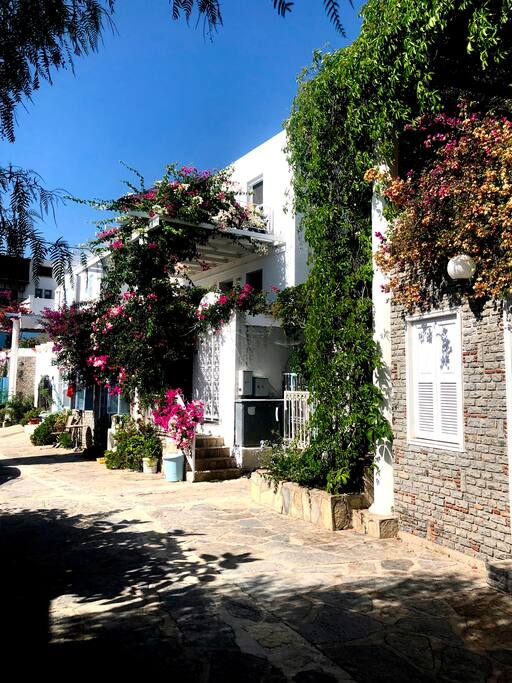 STREET VIEUW ALL OLD BODRUM STYLE