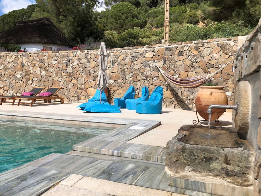 Pool Lounge Area and Hammock