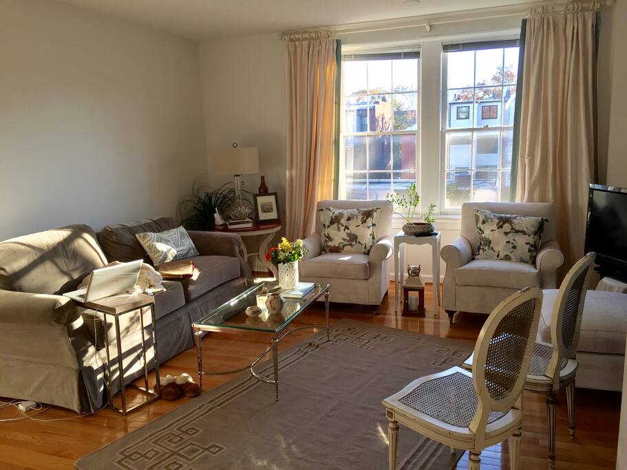 Sunny living room with comfy velvet sofa and fireplace