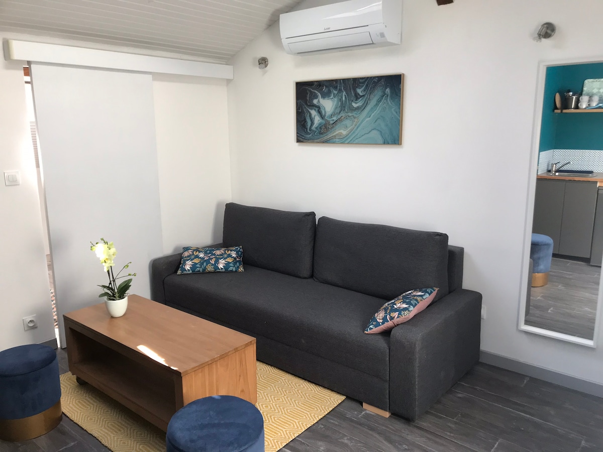 ספה נפתחת נוחה מאוד, מראה גדולה.