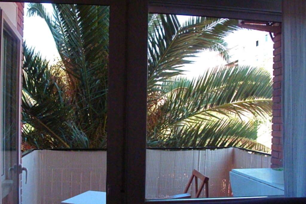 terraza soleada y gran privacidad