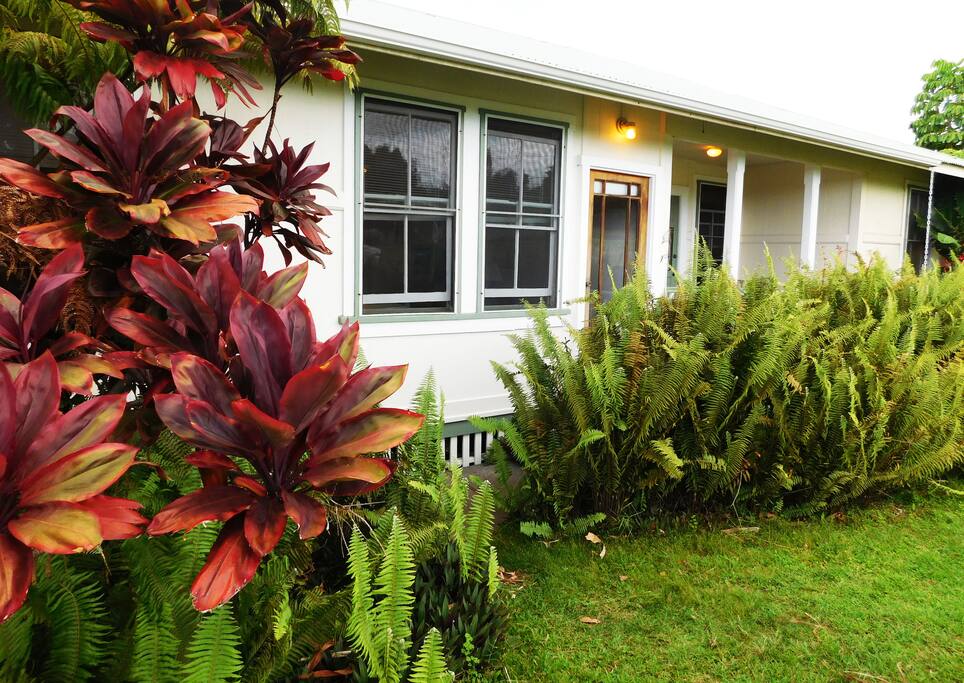 Colorful crotons welcome you to a classic plantation cottage. Photo by William Neal