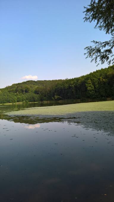 Dorpsmeer/ Village lake/ See im Dorf