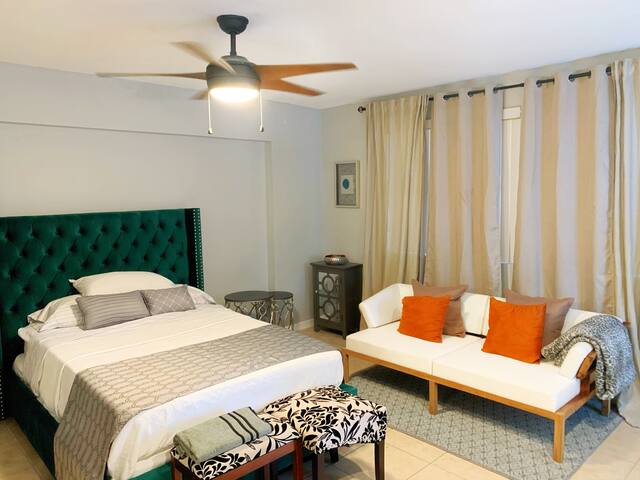 BRAND NEW Renovated Downtown Studio