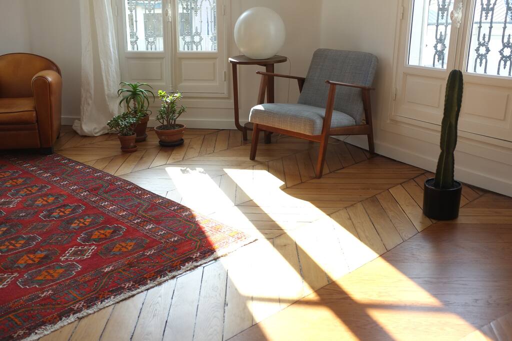 Appartement ensoleillé
sun all day in the apartment