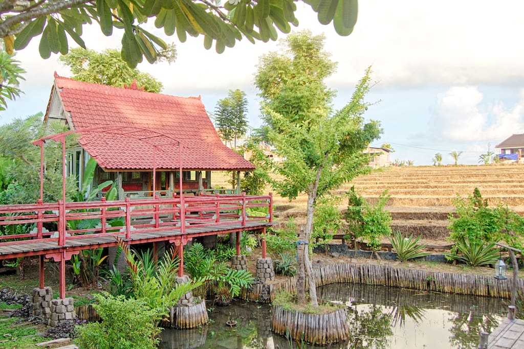Bird House With Pond, Garden, Bridge and Ricefield at the background