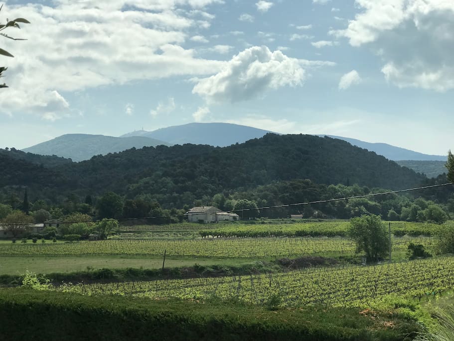 vue du gîte