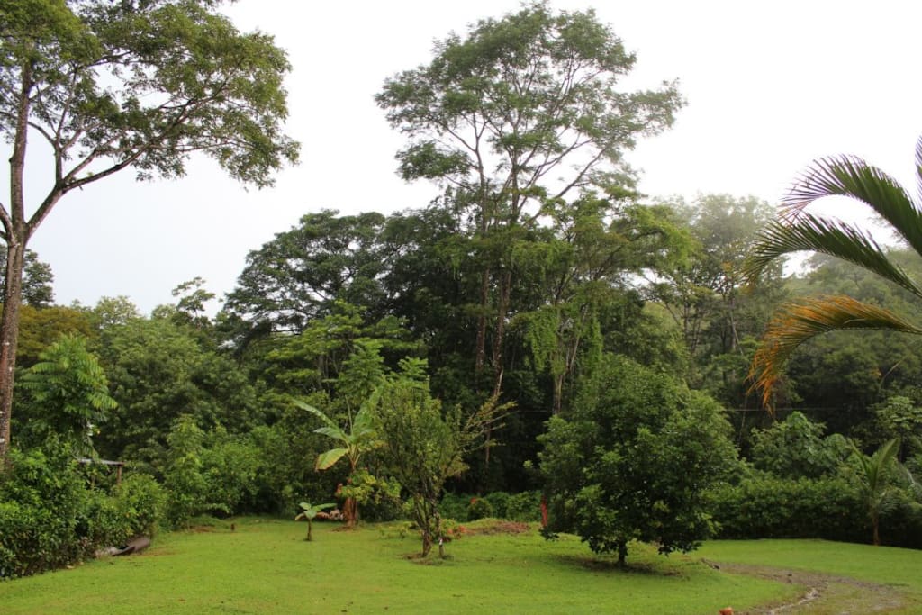 garden - jardines