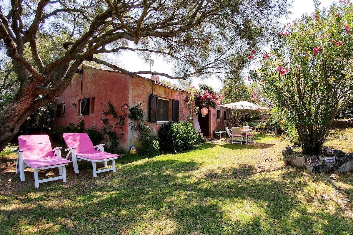 The villa is set in a lush garden, surrounded by natural vegetation. Two lounge chairs are positioned on the manicured lawn, while flowering plants and a shaded patio area invite relaxation. The rustic exterior of the home is softened by the greenery, enhancing the tranquil ambiance.