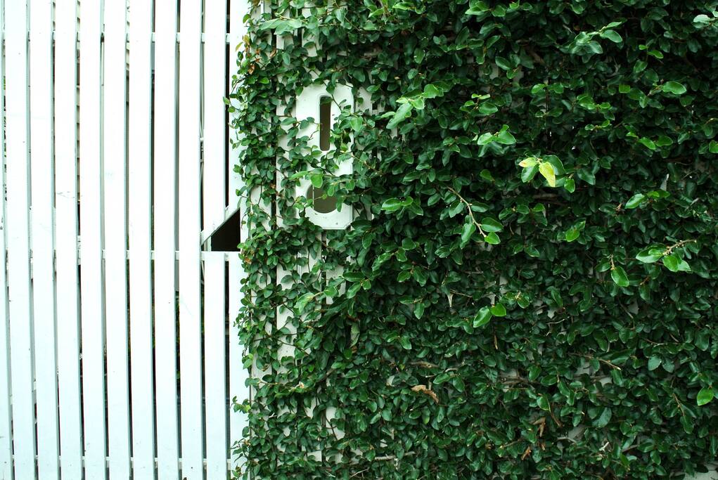 Gated entry to property.