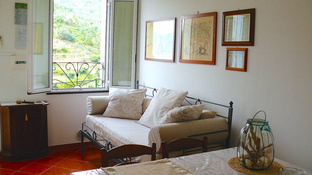 客厅和沙发床/带单人床的客厅