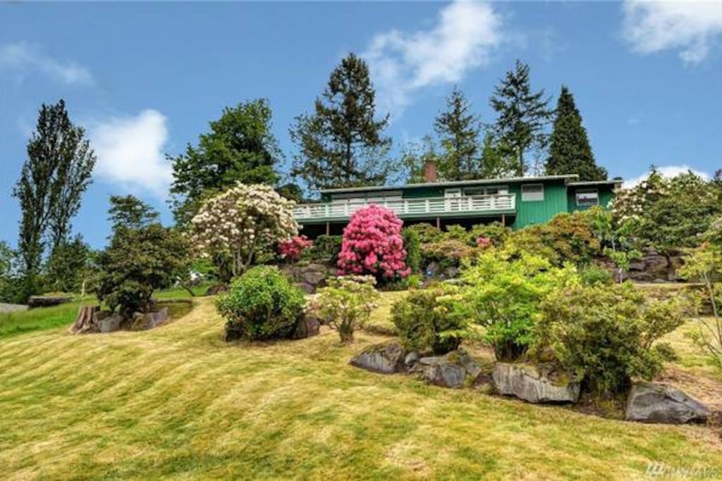 Large and beautiful backyard