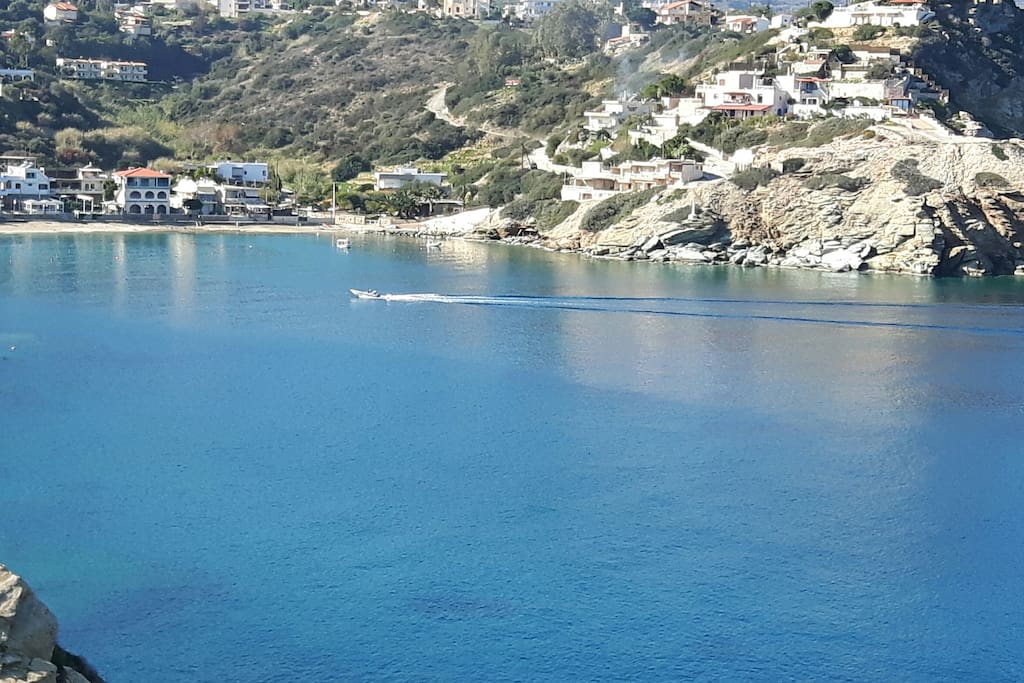Η Θέα μας