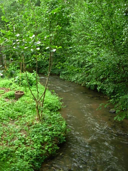 rivière qui longe la propriété
