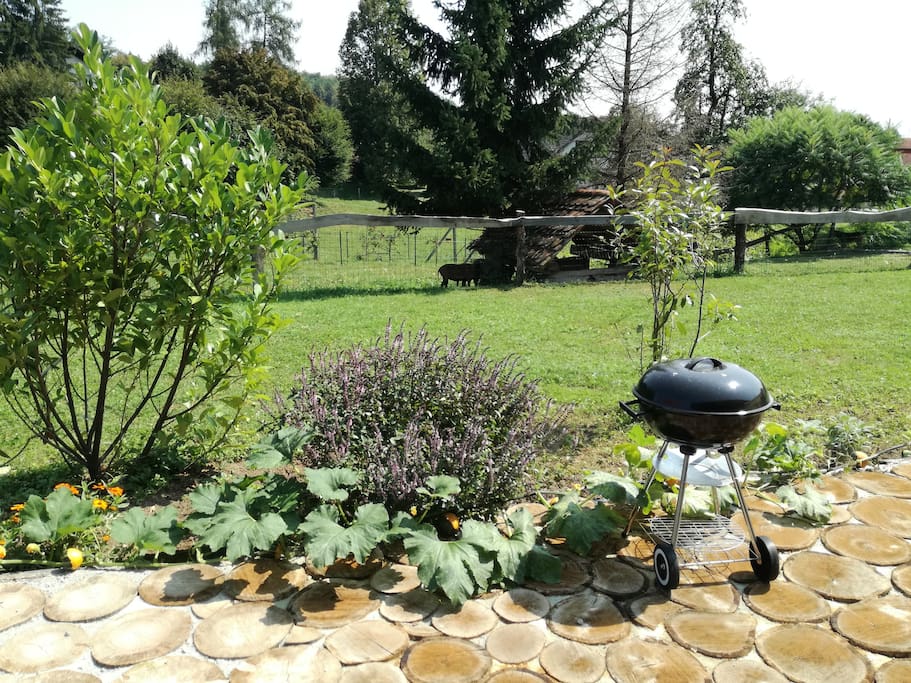 Beautiful green outdoor space of the cottage-to relax, enjoy in the company of our cute camerun sheeps, barbecue