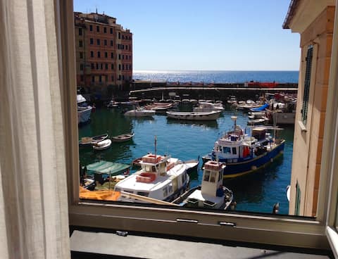 Successful Airbnb property: Lovely apartment at the port (010007-LT-0705) in Camogli