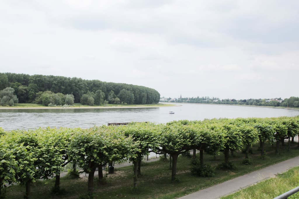 Ausblick am Rhein