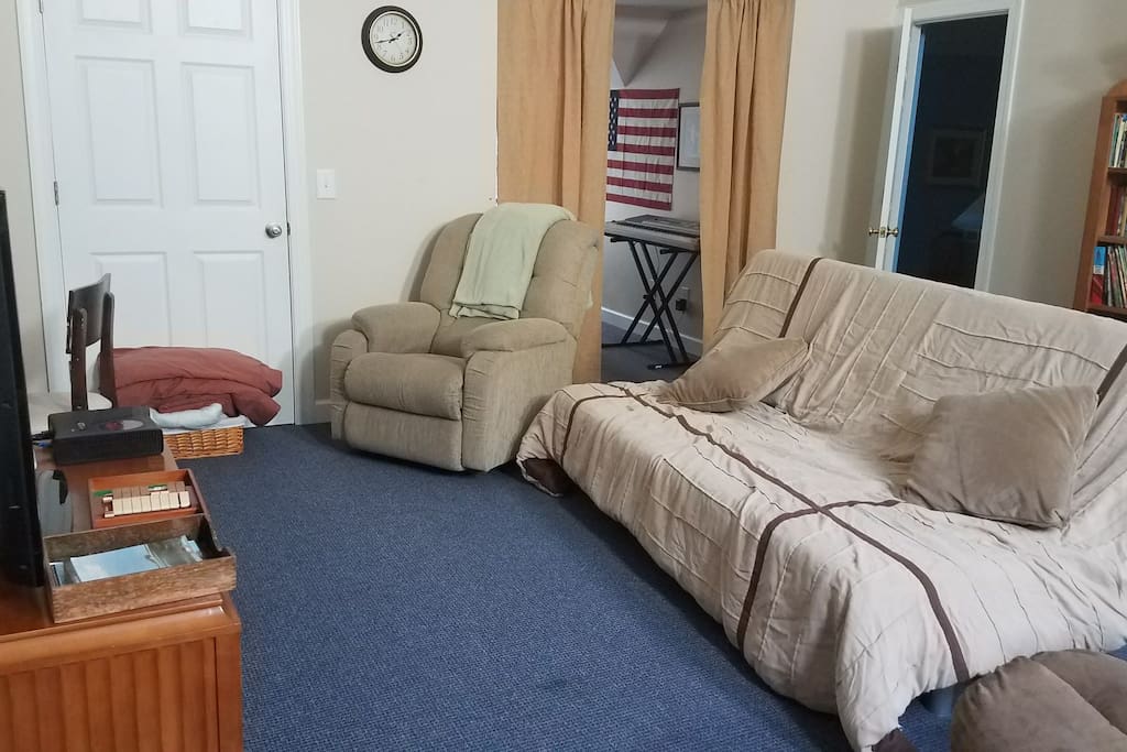 Main living area with queen-sized futon, tv, computer, Xbox.