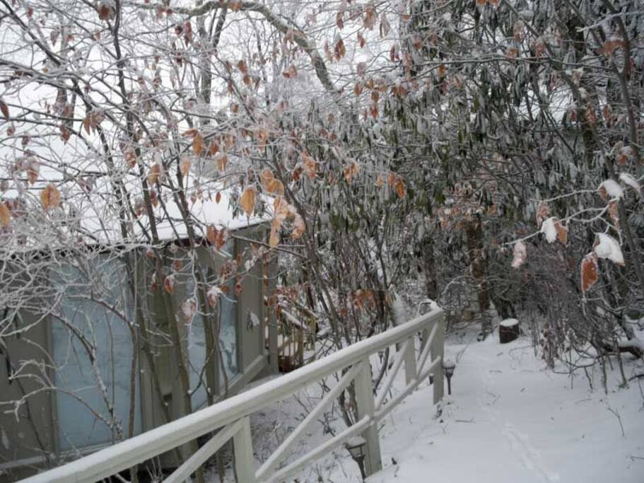 Snowy walkway to the Deck