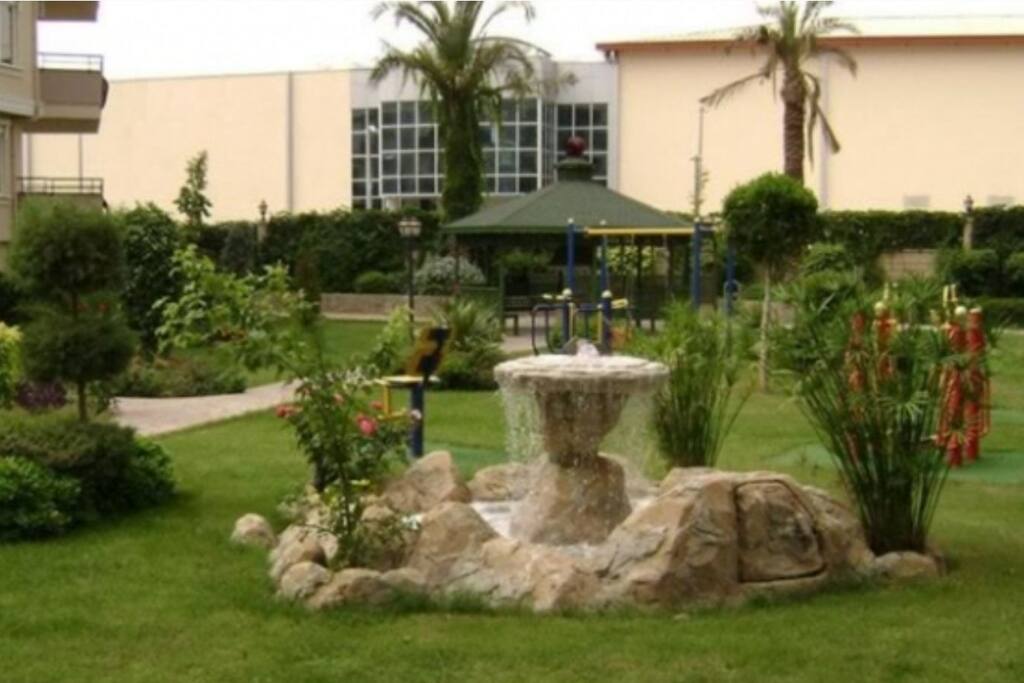 Pergola&Barbeque Area