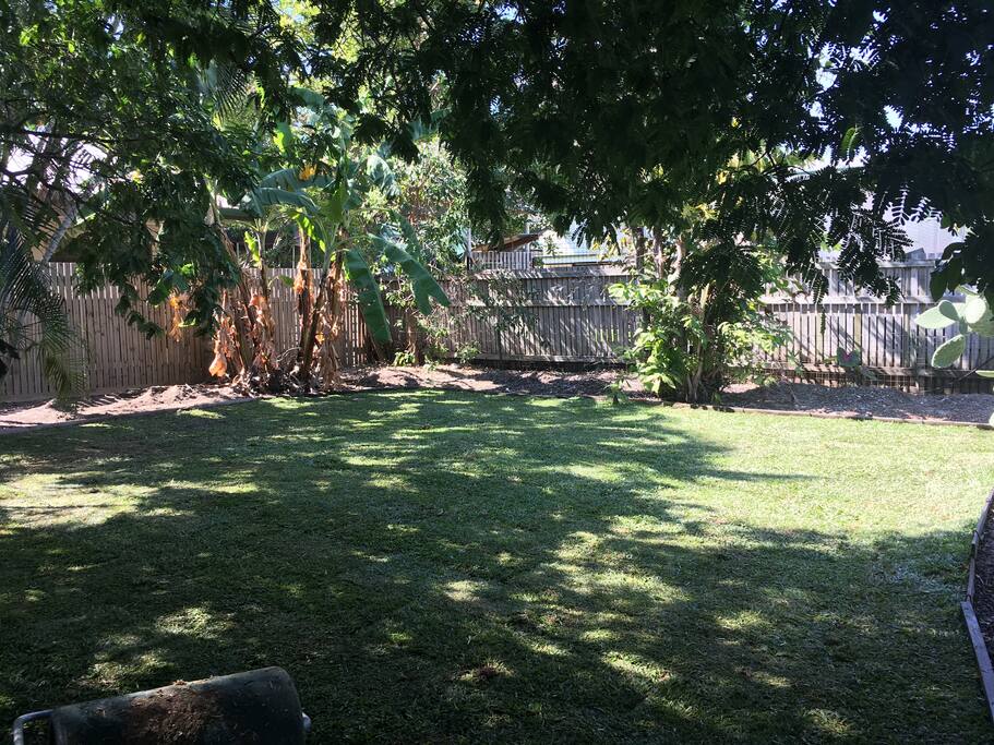 Backyard from the back of the house.