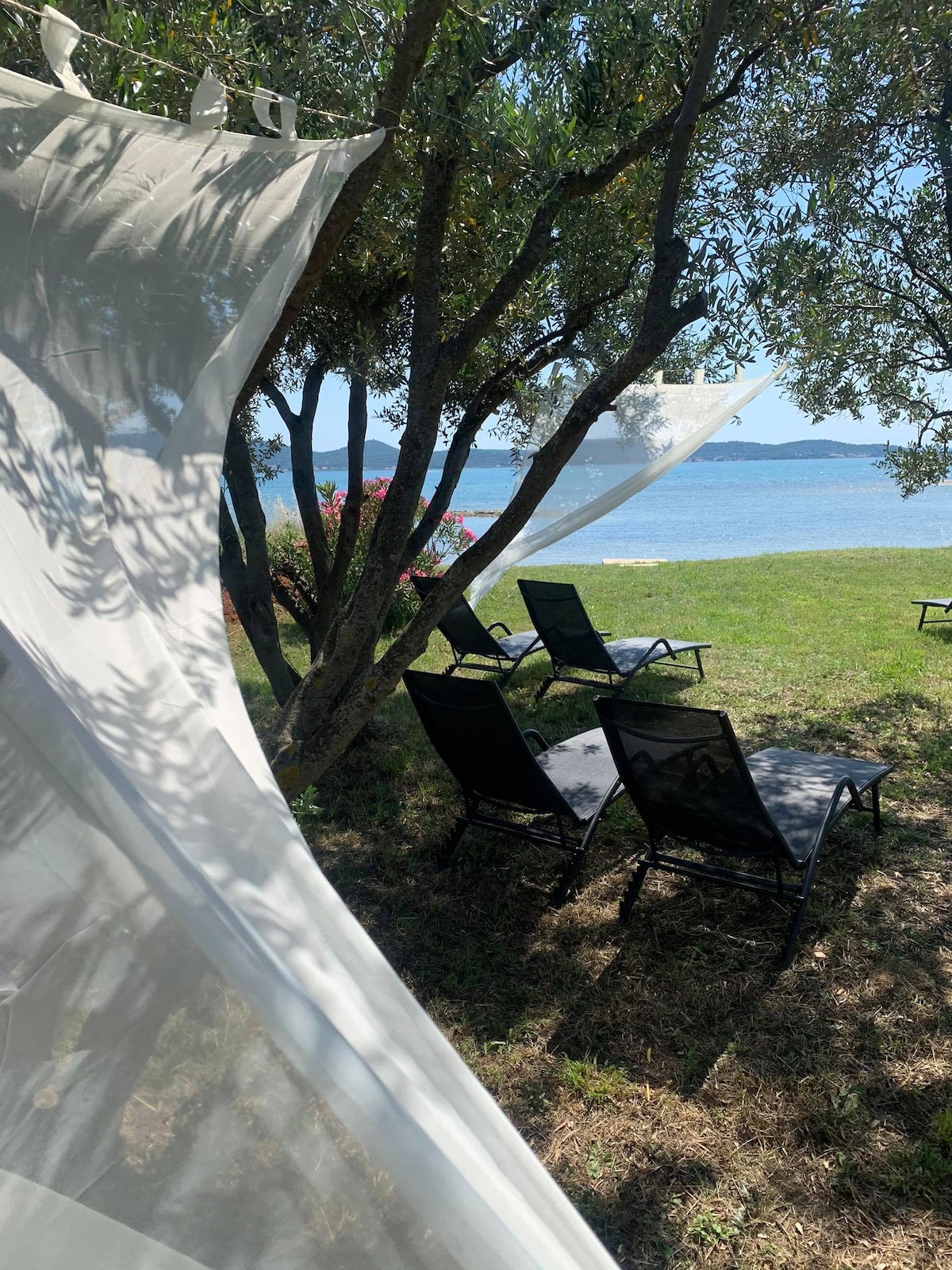 Lounge chairs are positioned on a grassy area, providing a view of the serene sea. Sheer fabric billows gently between olive trees, enhancing the tranquil setting. The blue water and distant land can be seen in the background, creating a peaceful atmosphere.