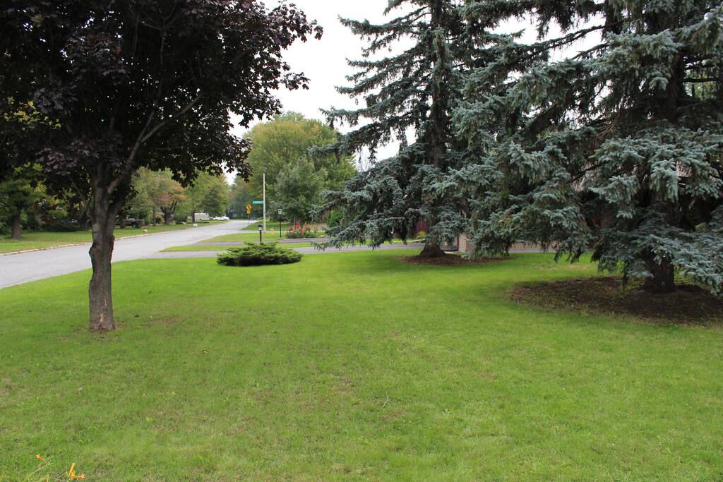 Neighborhood View