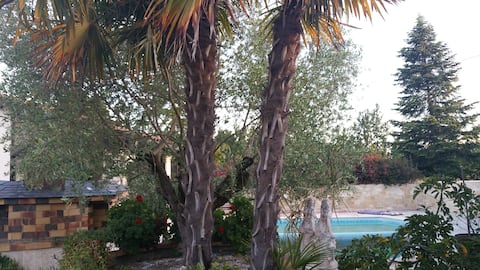 The olive tree ( with pool )