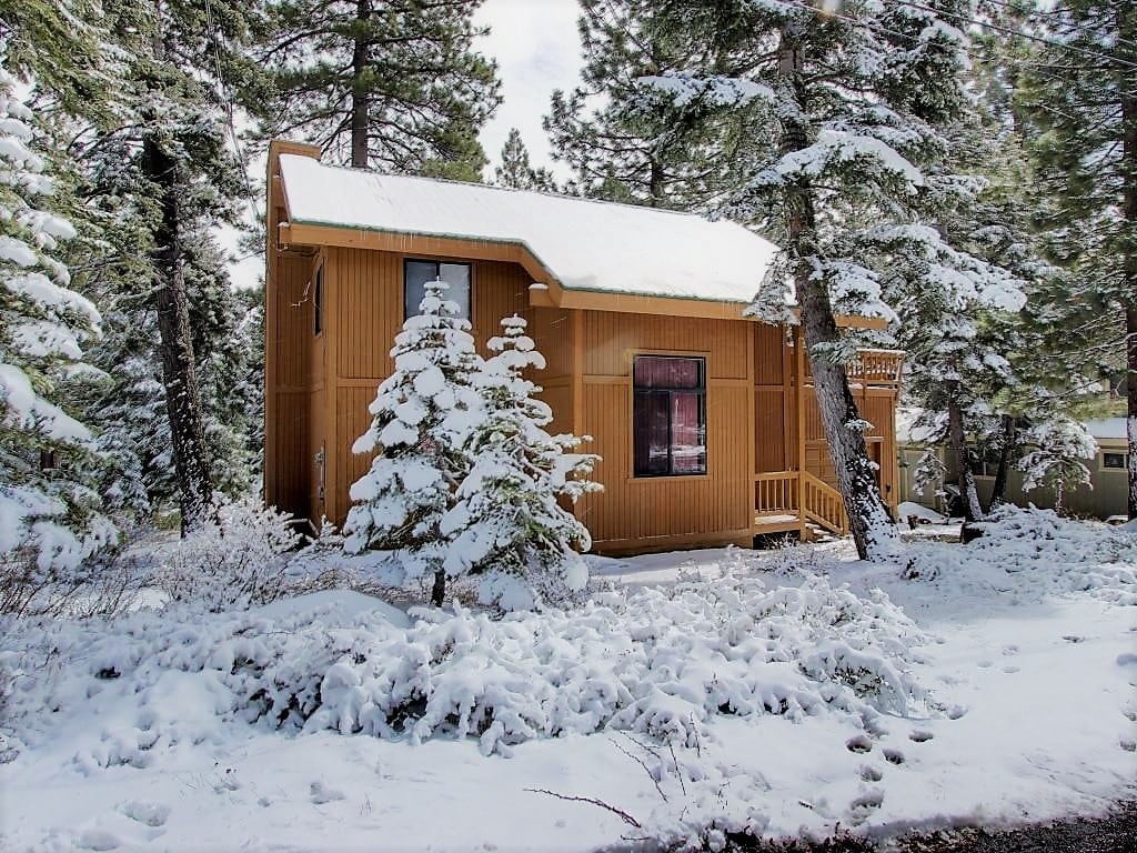 A snowy exterior view of the cabin showcases wooden siding and a welcoming front porch. Surrounding pine trees are blanketed in fresh snow, creating a serene winter landscape. The cabin features a large window that reflects the peaceful environment.