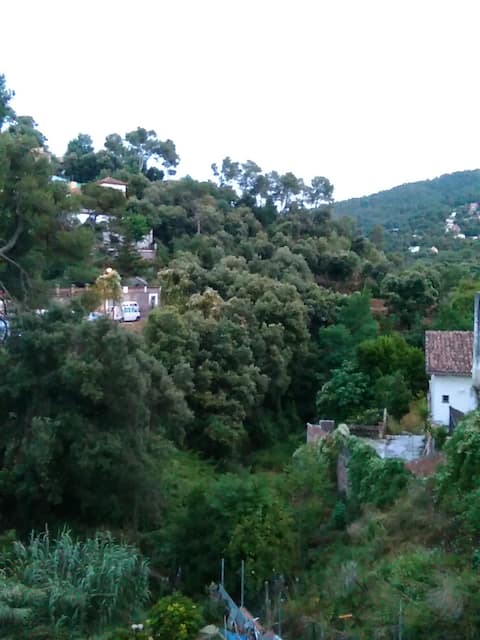 Casa Armonía, between the city and the  forest.