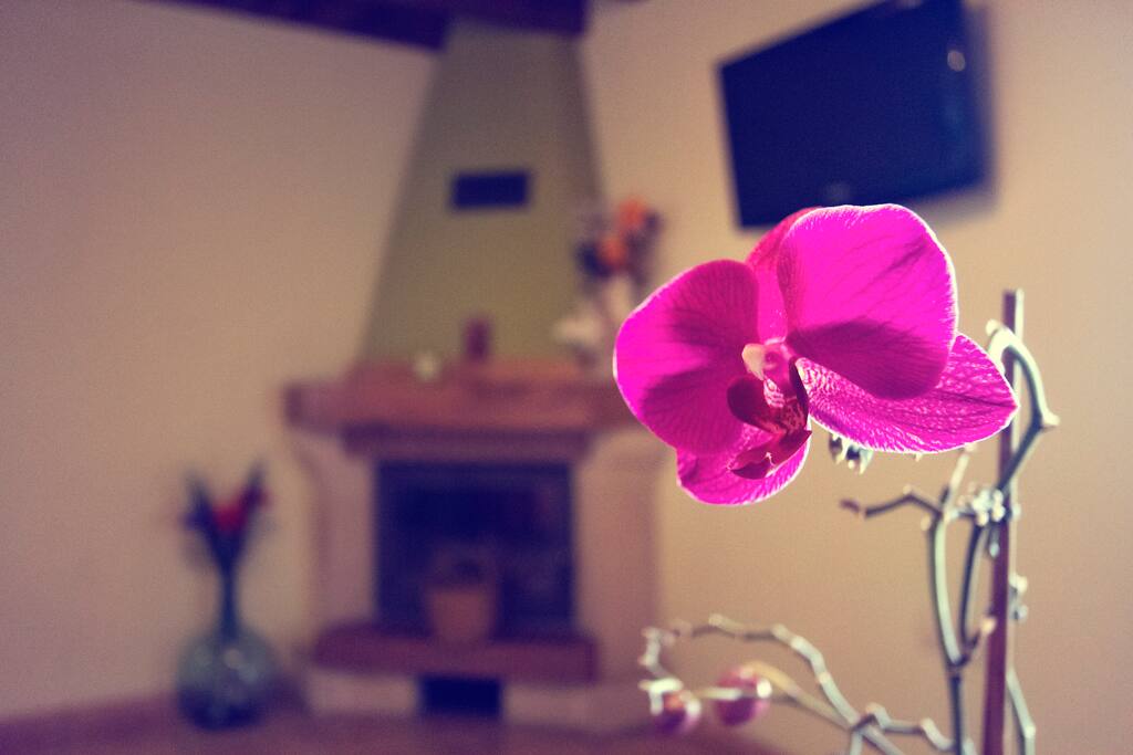 Casa1
