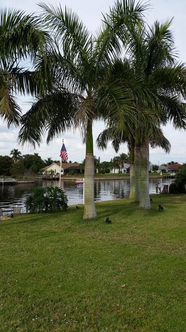 View of Canal from Pool