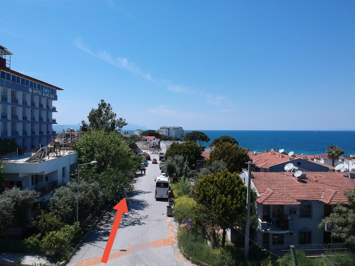 Kadınlar plajına 50 metre bahçeli 1+1