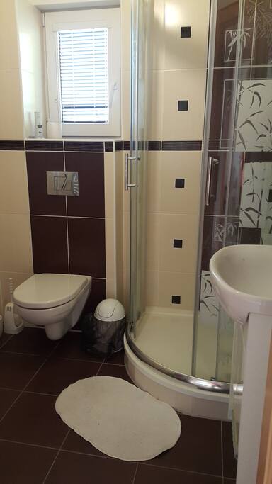 private bathroom equiped with towels, soap