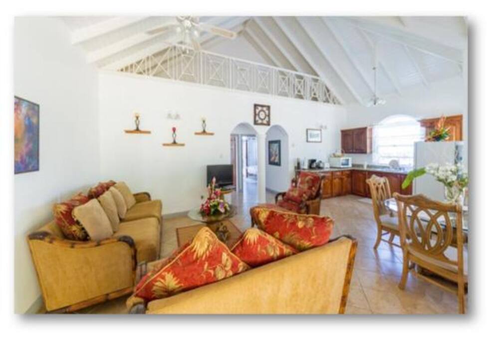 Living room and kitchen