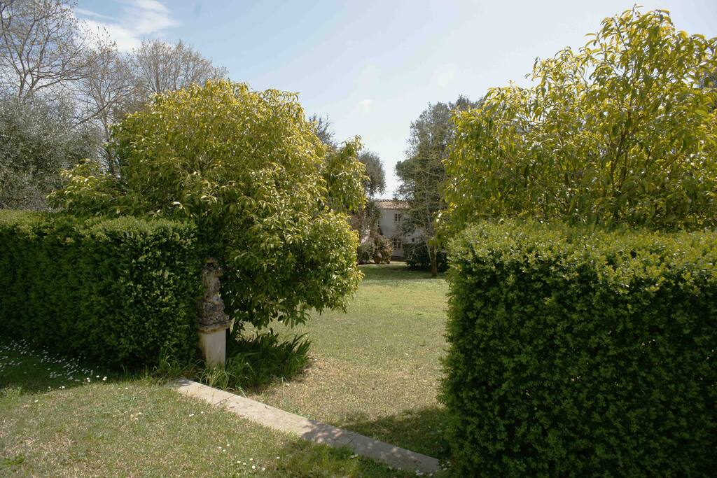 Garden