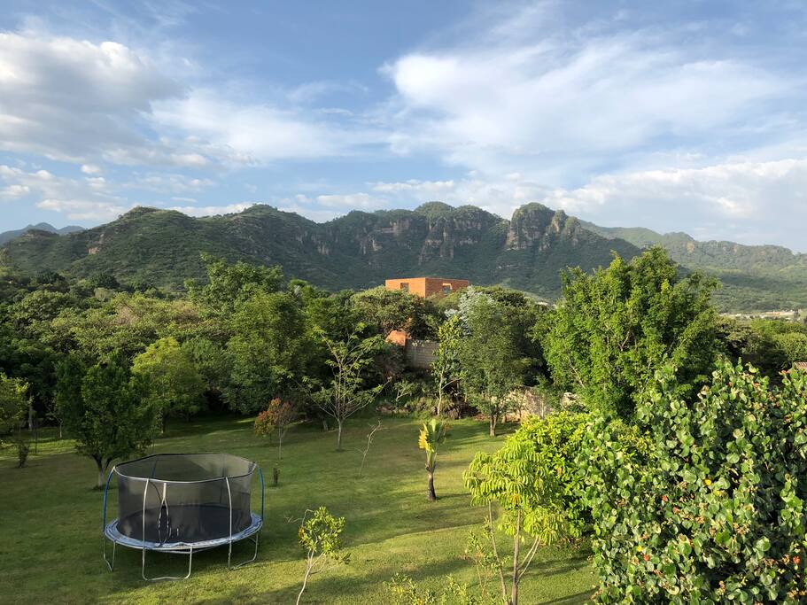 El jardín