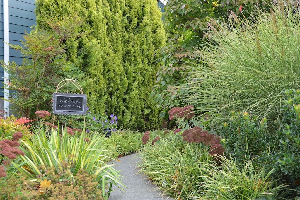 Path to Patio entrance.