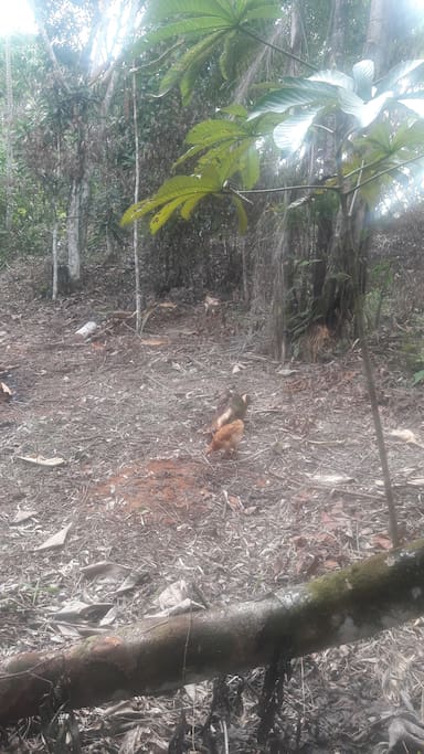 Rodeado de la naturaleza!!